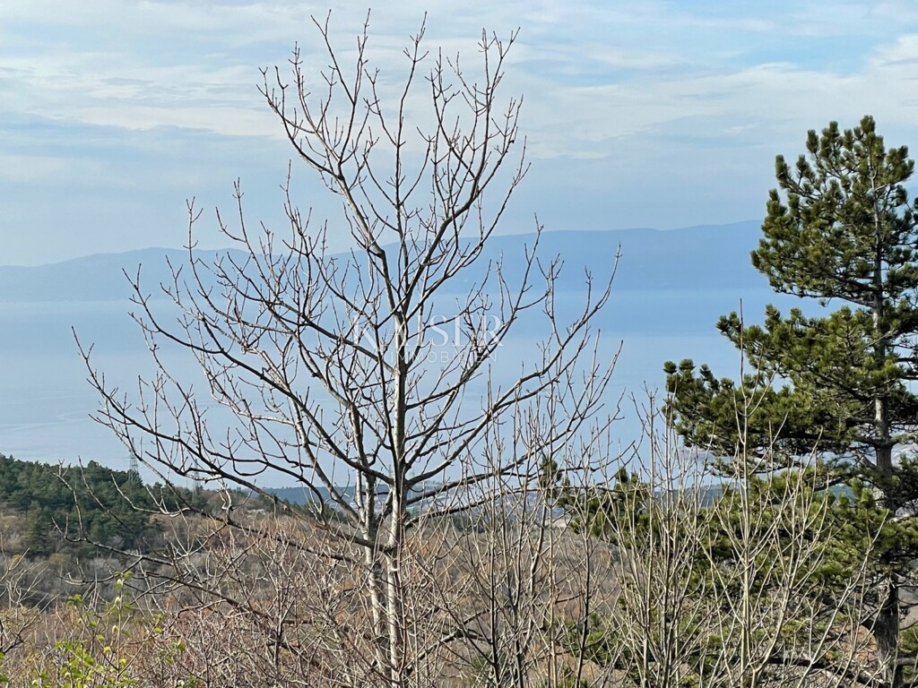 Image 14