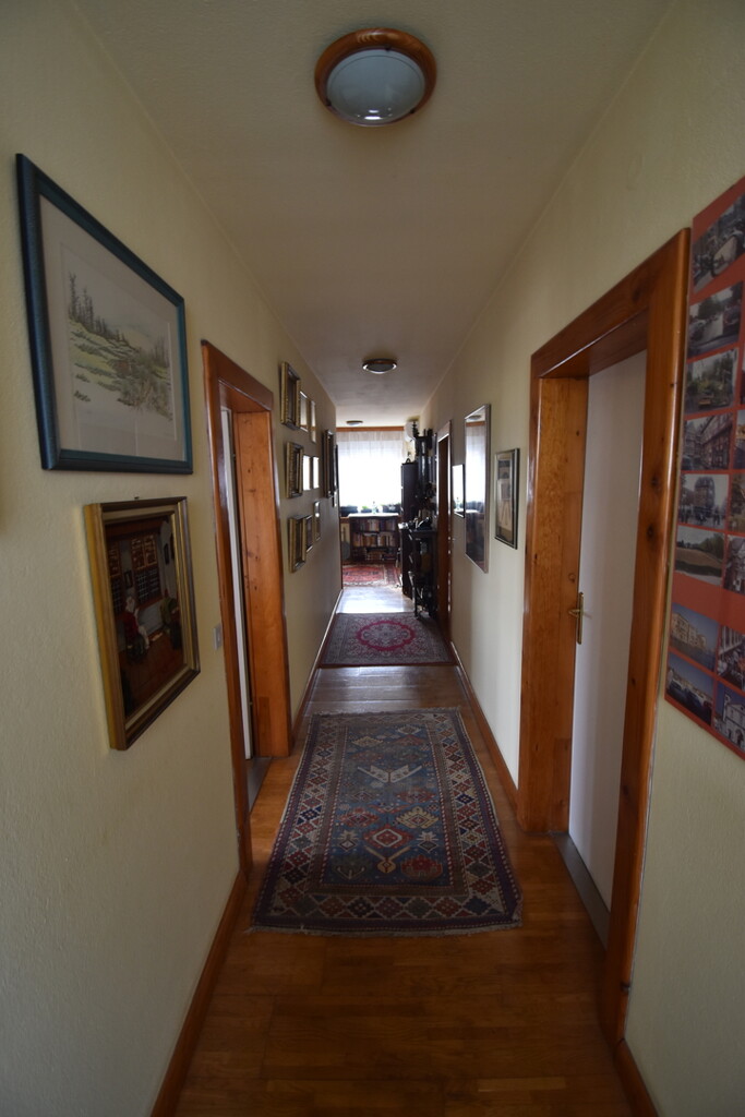Image 15