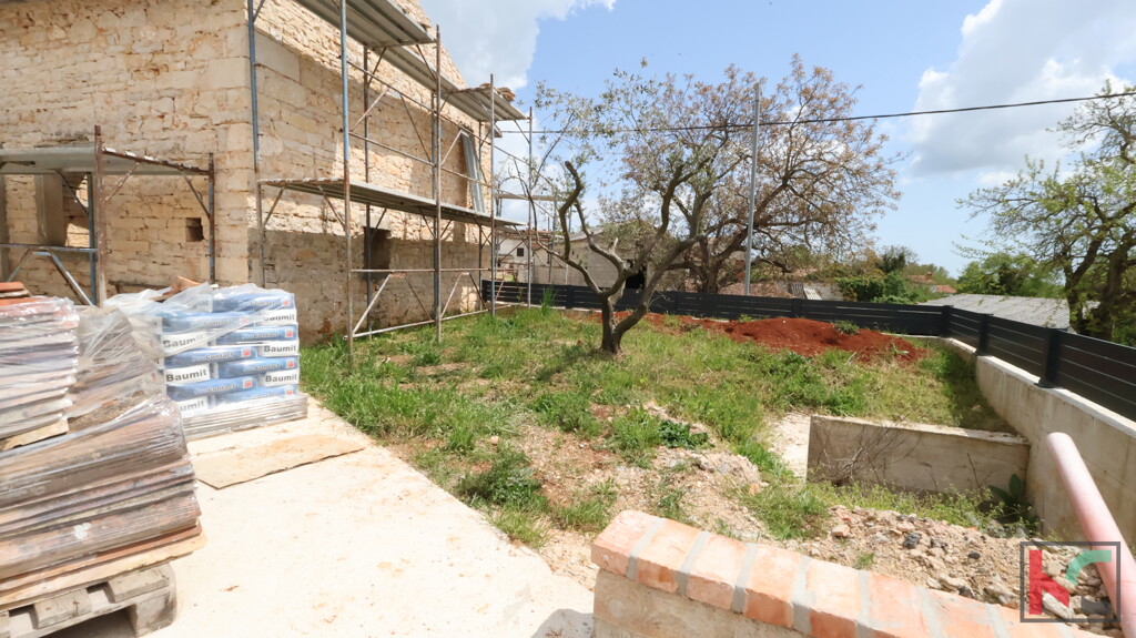 Image 15