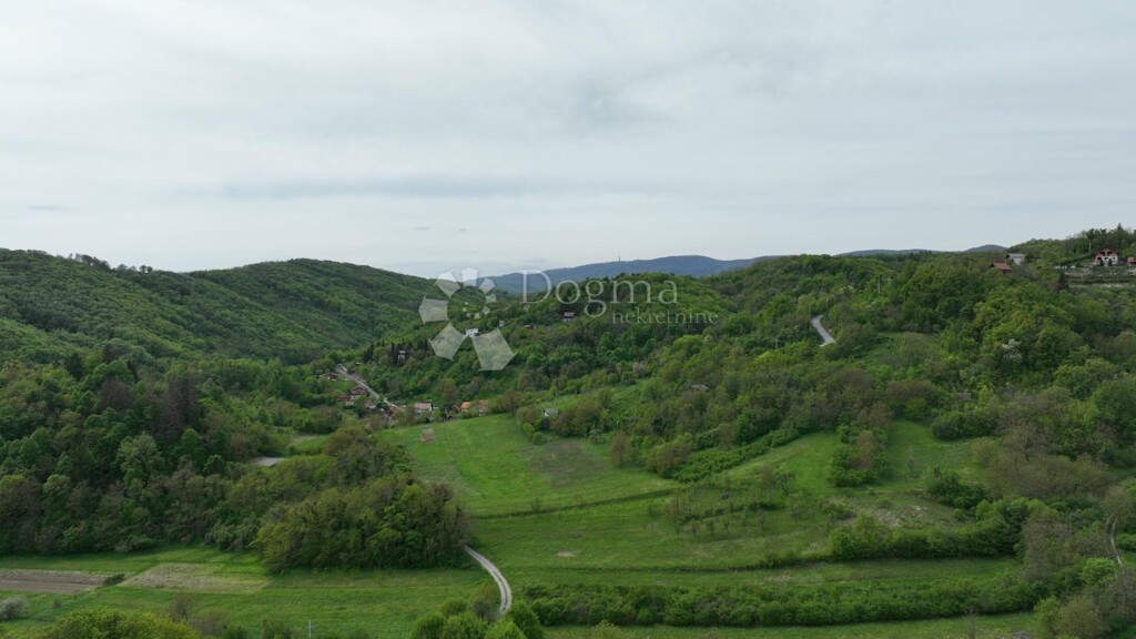 Image 13