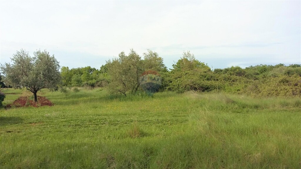 Image 5429029 - 2