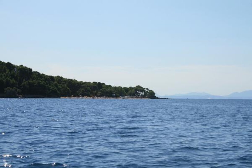 Image 3838548 - 4