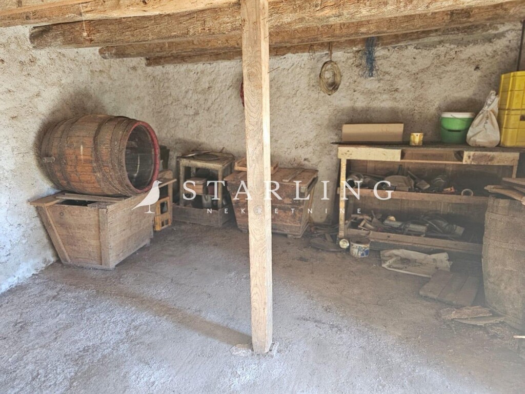 Image 13