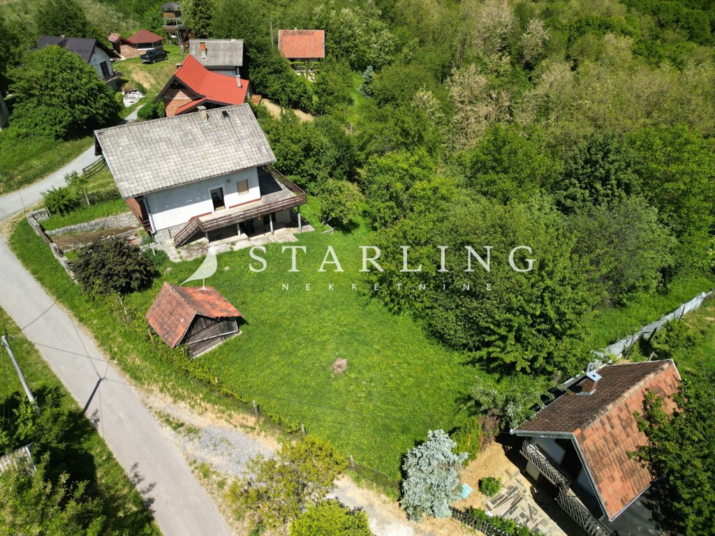 Image 12