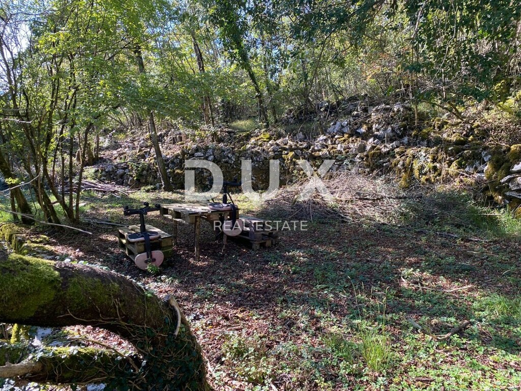 Image 13