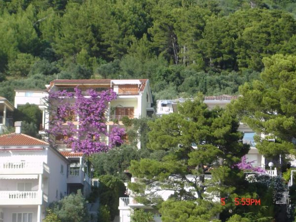 Image 3813243 - 4