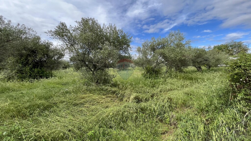 Image 5429867 - 1