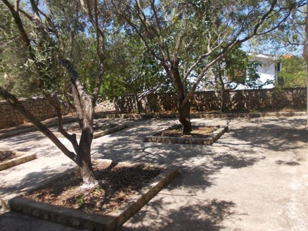 Image 3813478 - 3