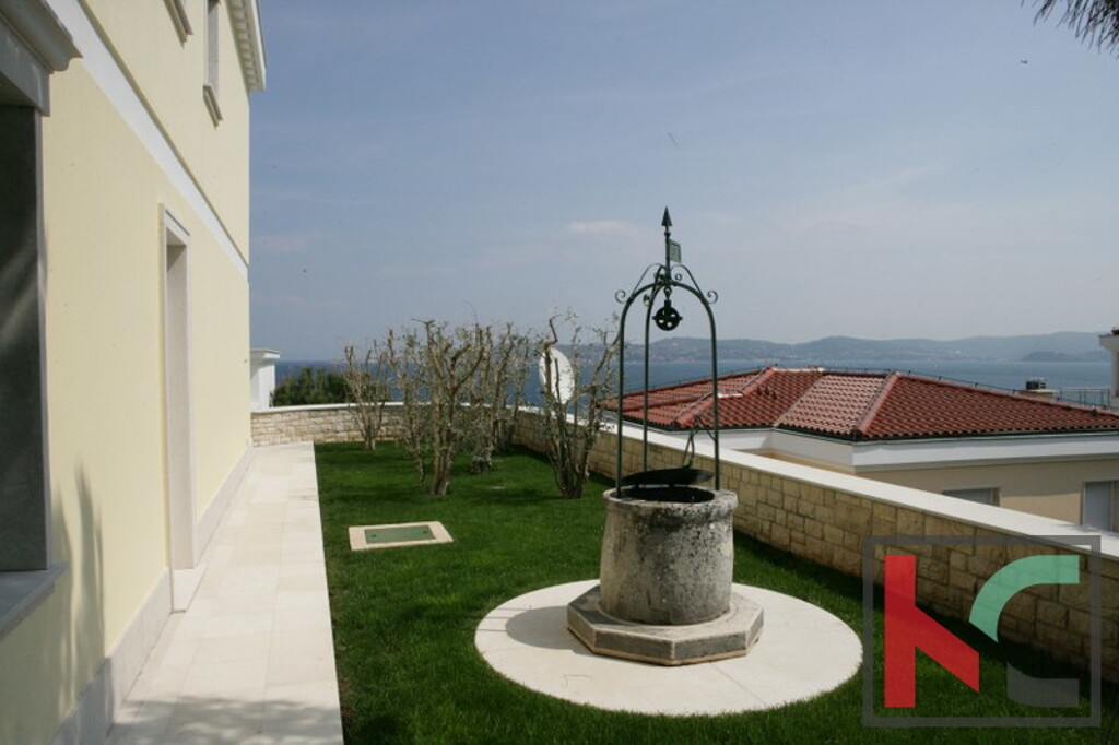 Image 15