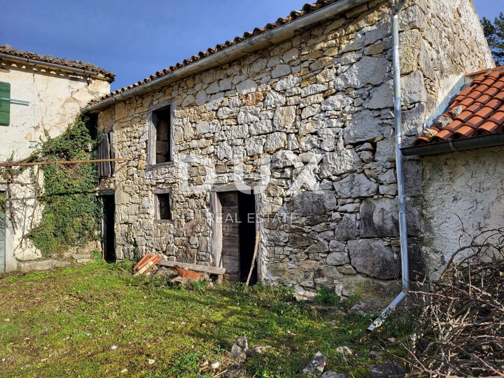 Image 8