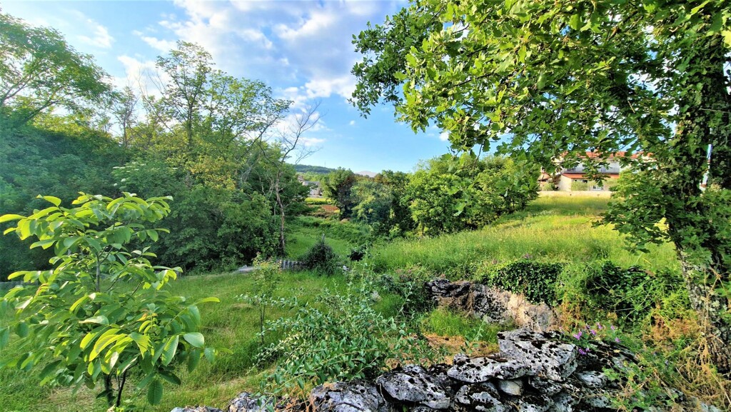 Image 5429793 - 3