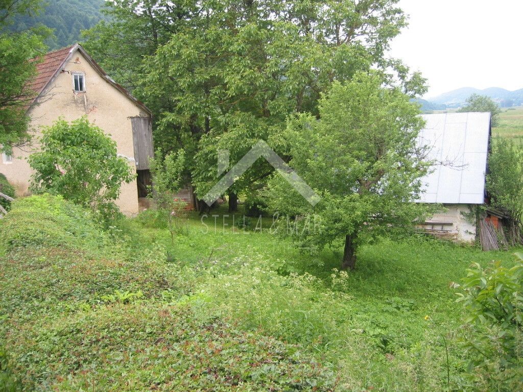 Image 5195037 - 8