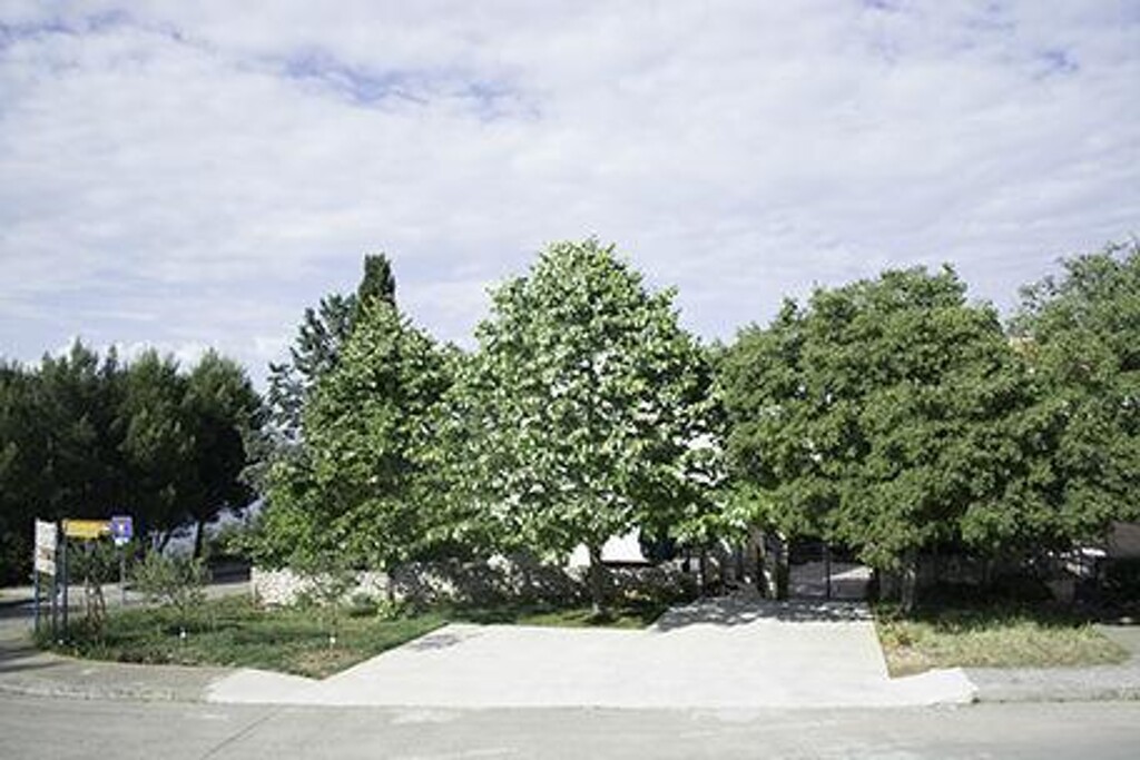 Image 3815193 - 8