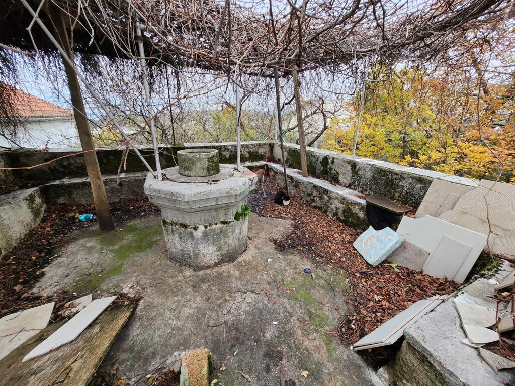 Image 13