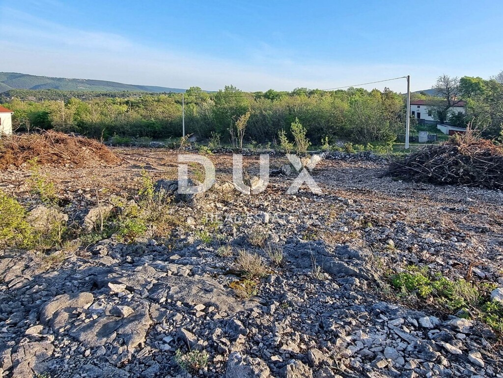 Image 13