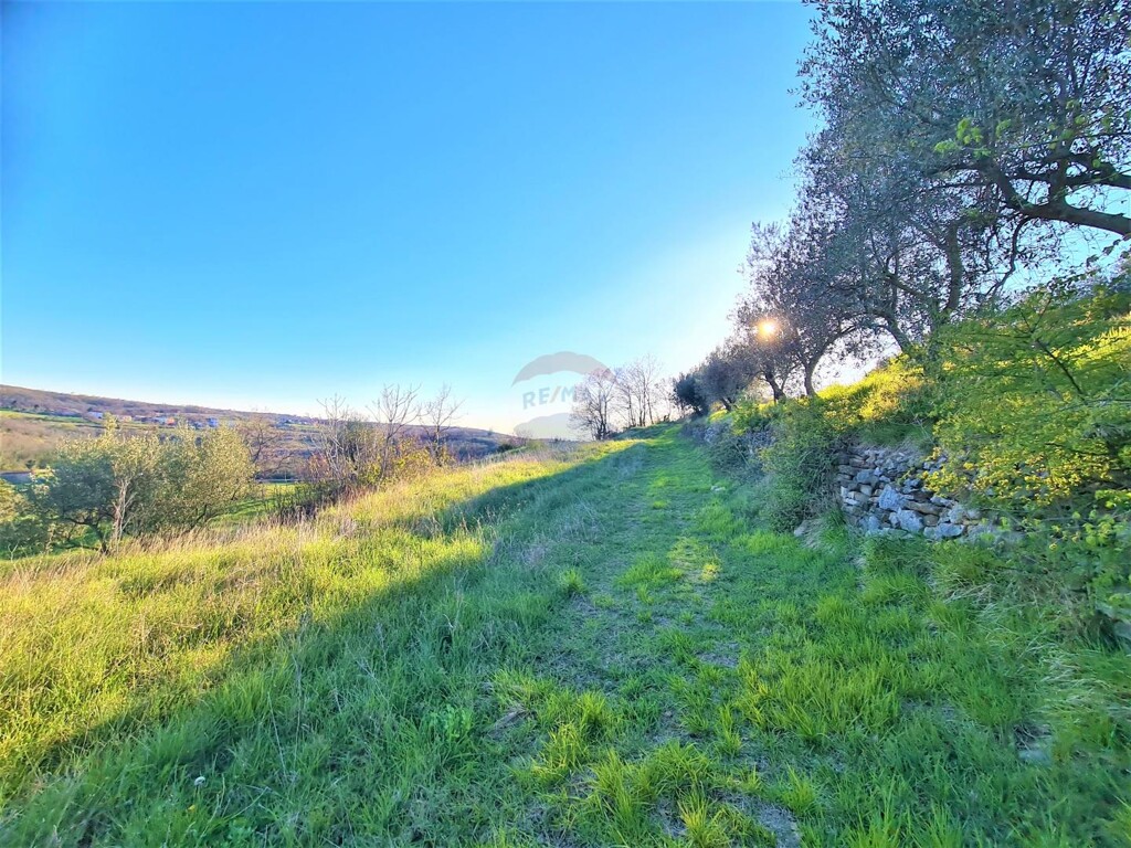 Image 5440087 - 17