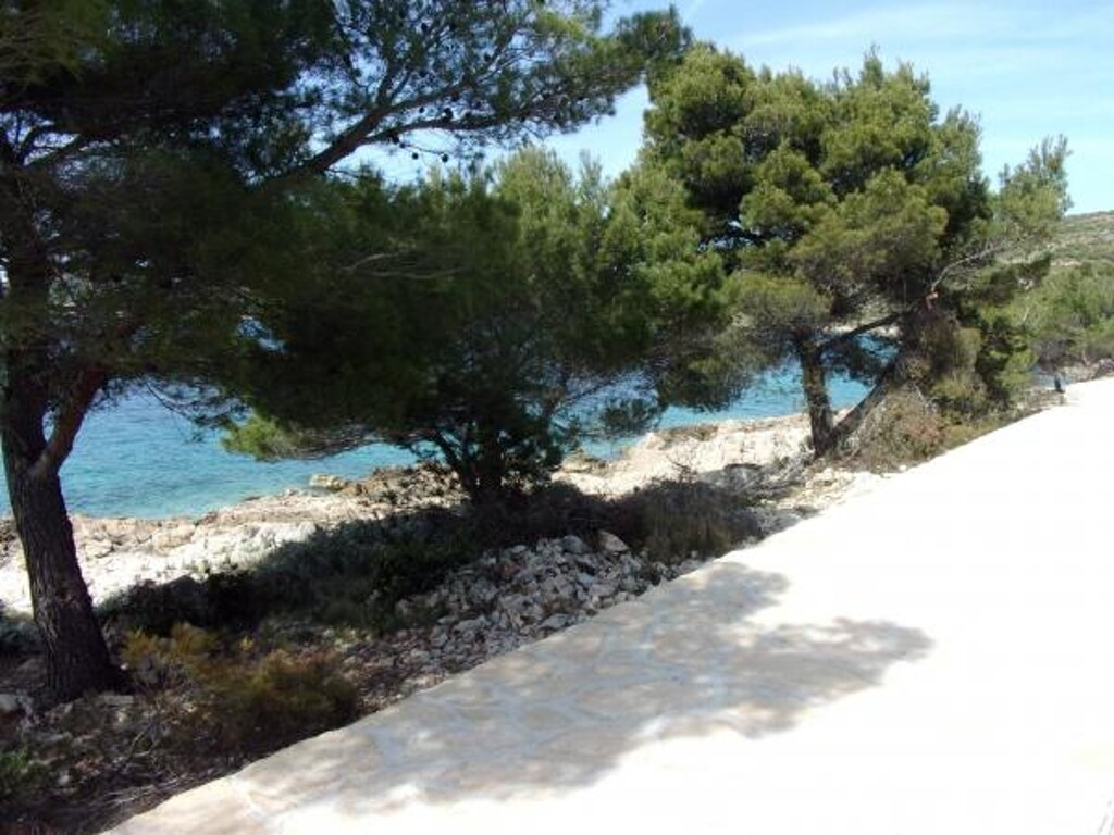 Image 3812000 - 21