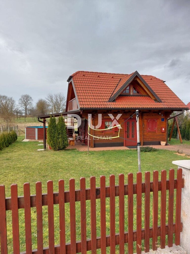 Image 21