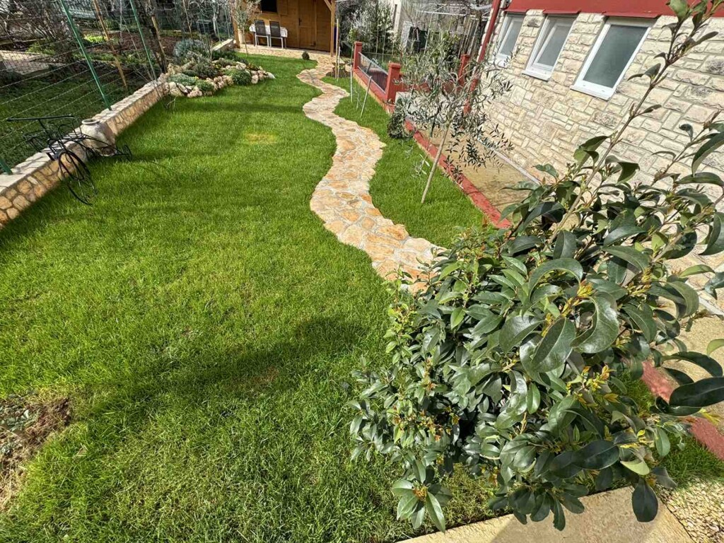 Image 21