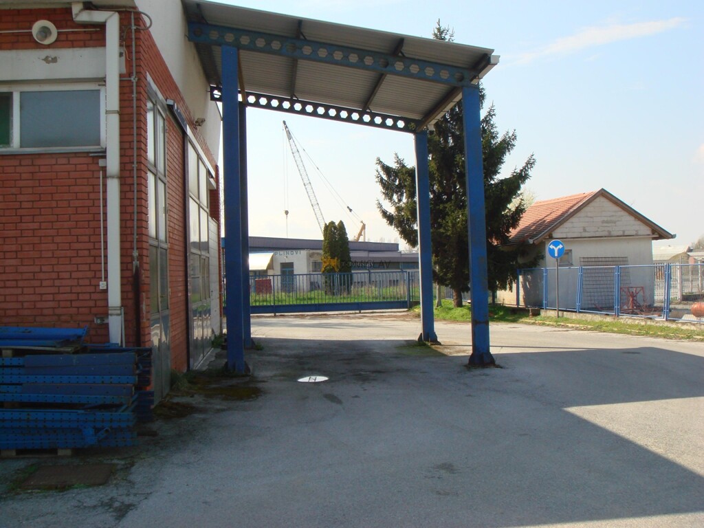 Image 5