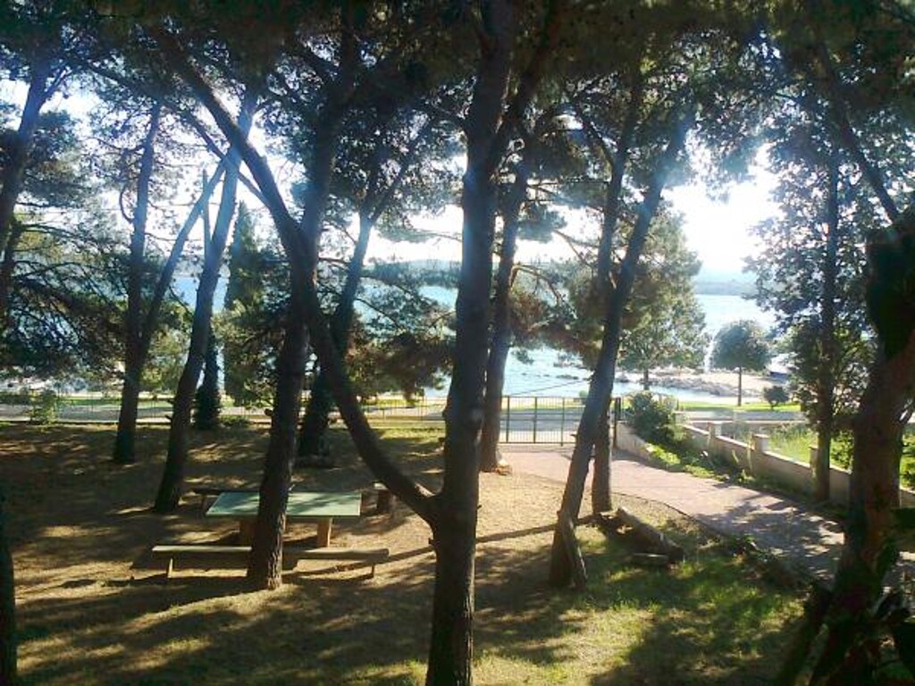 Image 3812511 - 1