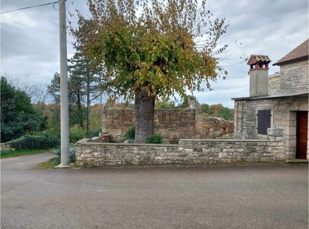 Image 17