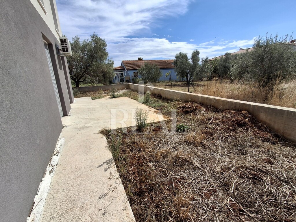 Image 15