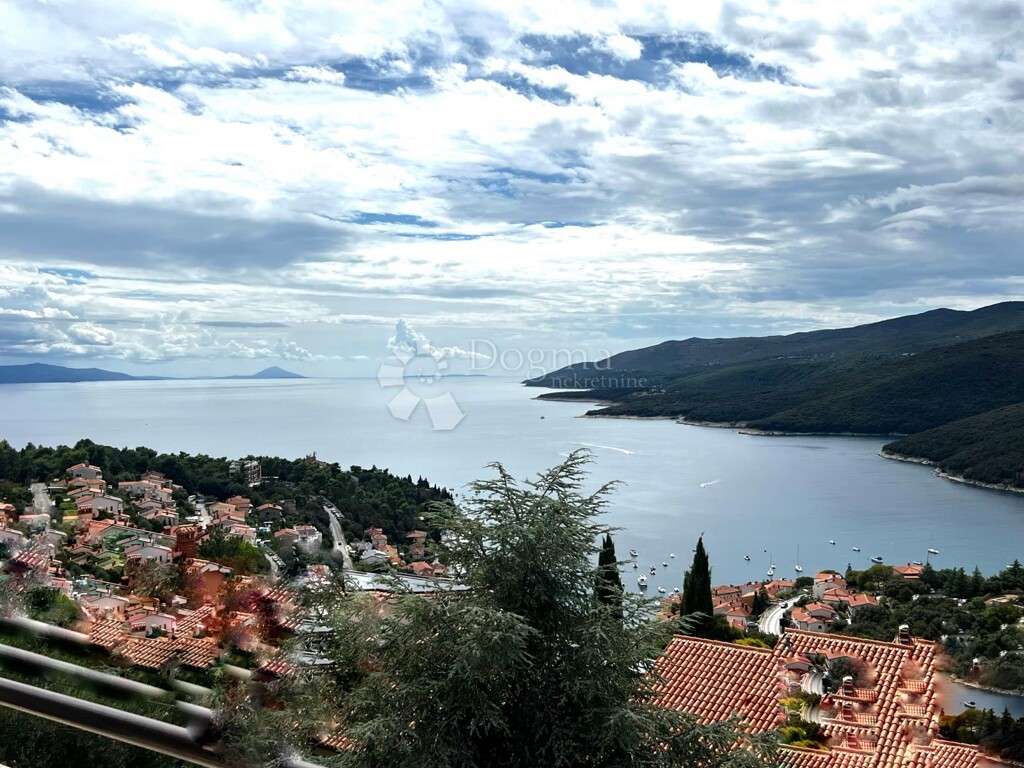 Image 14