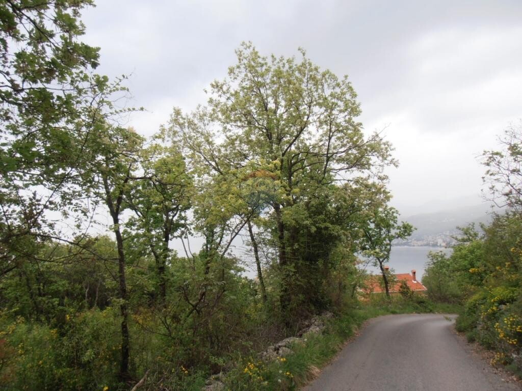 Image 5467318 - 2