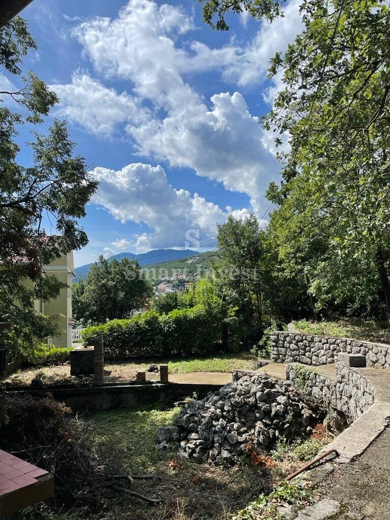 Image 20