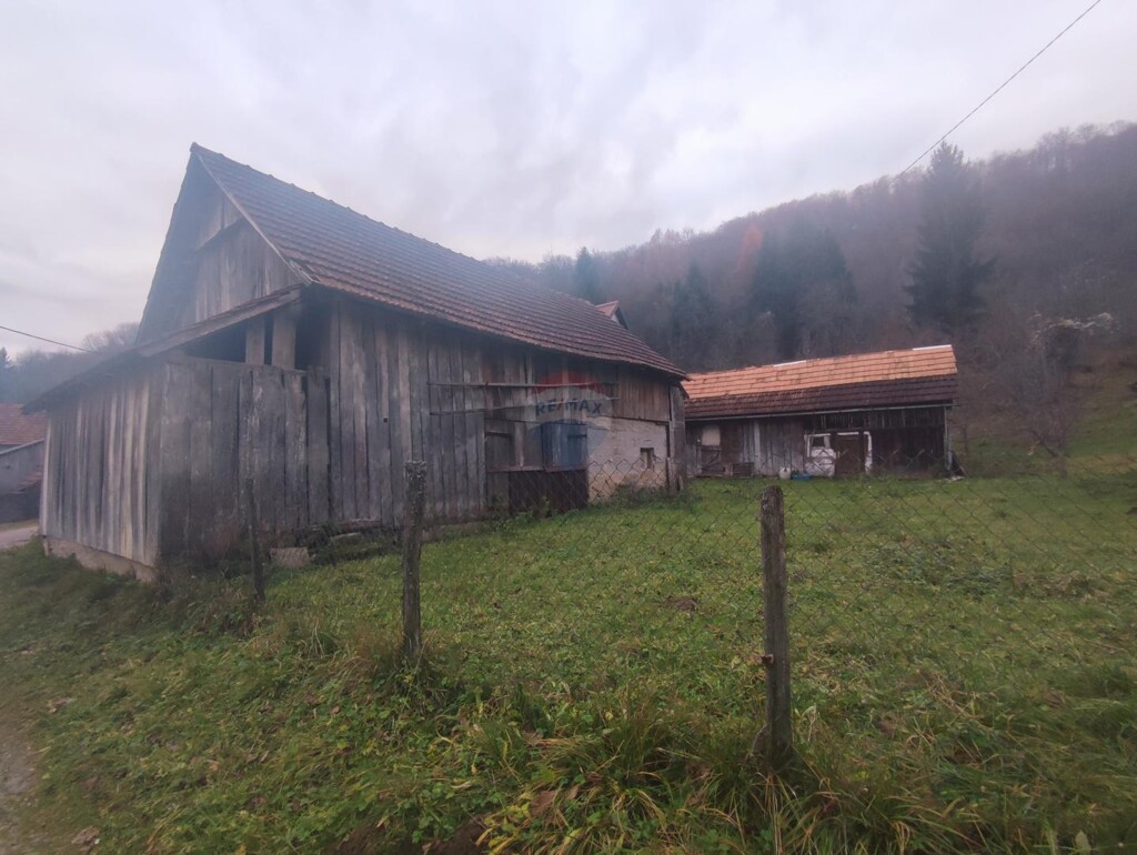 Image 12