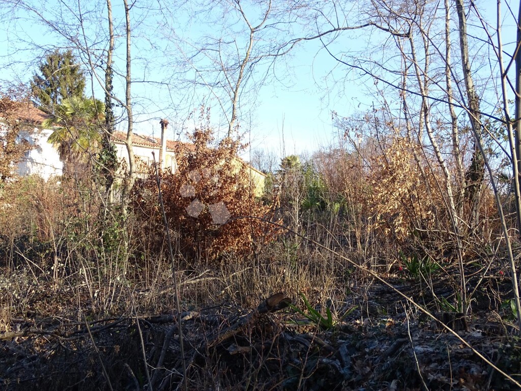 Image 14
