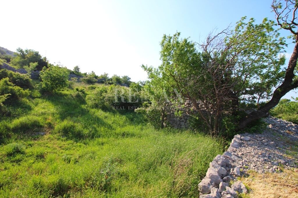 Image 20