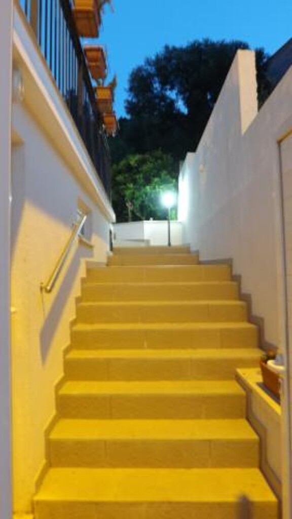 Image 3811415 - 17