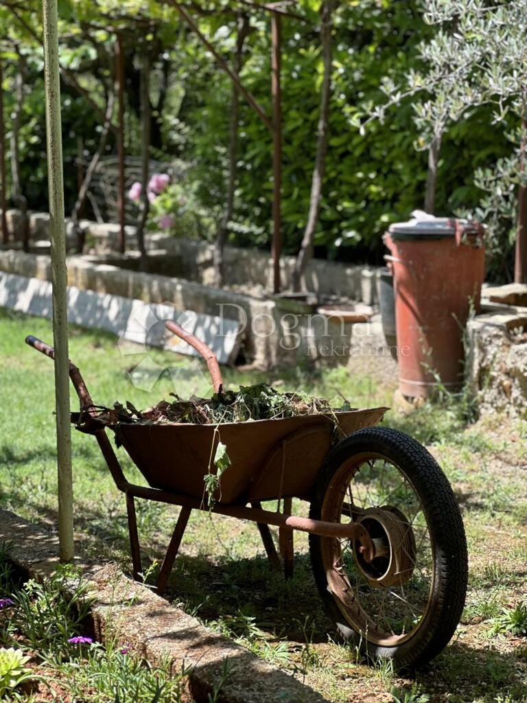 Image 12
