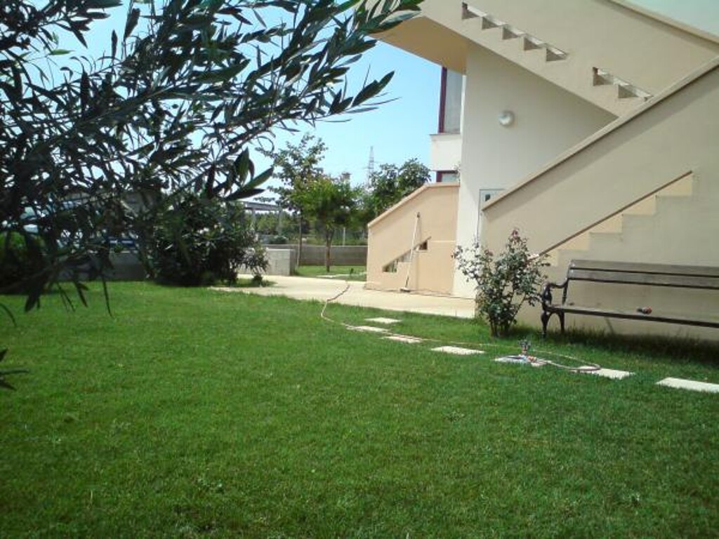 Image 5381088 - 6