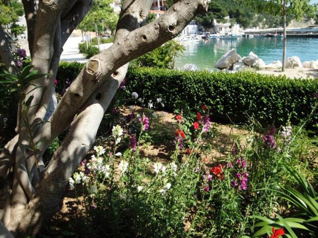 Image 3811426 - 20