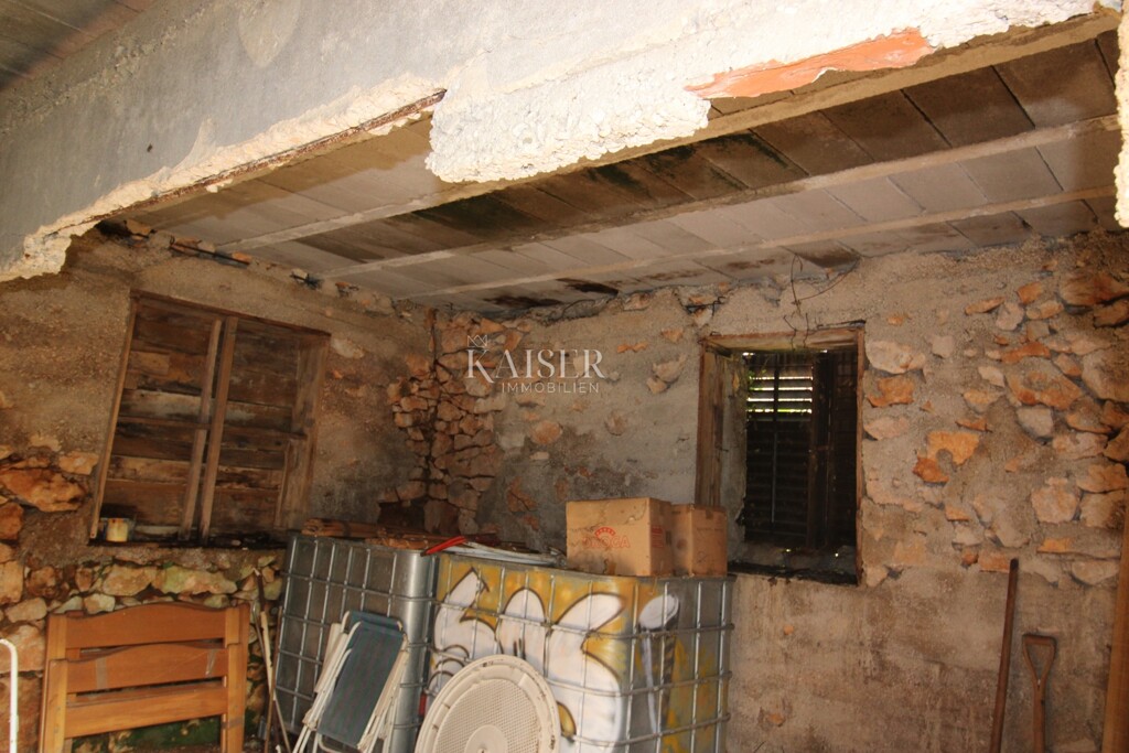 Image 12