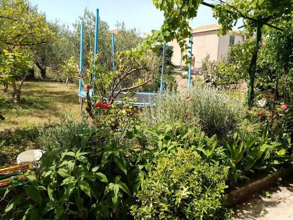 Image 3811447 - 15