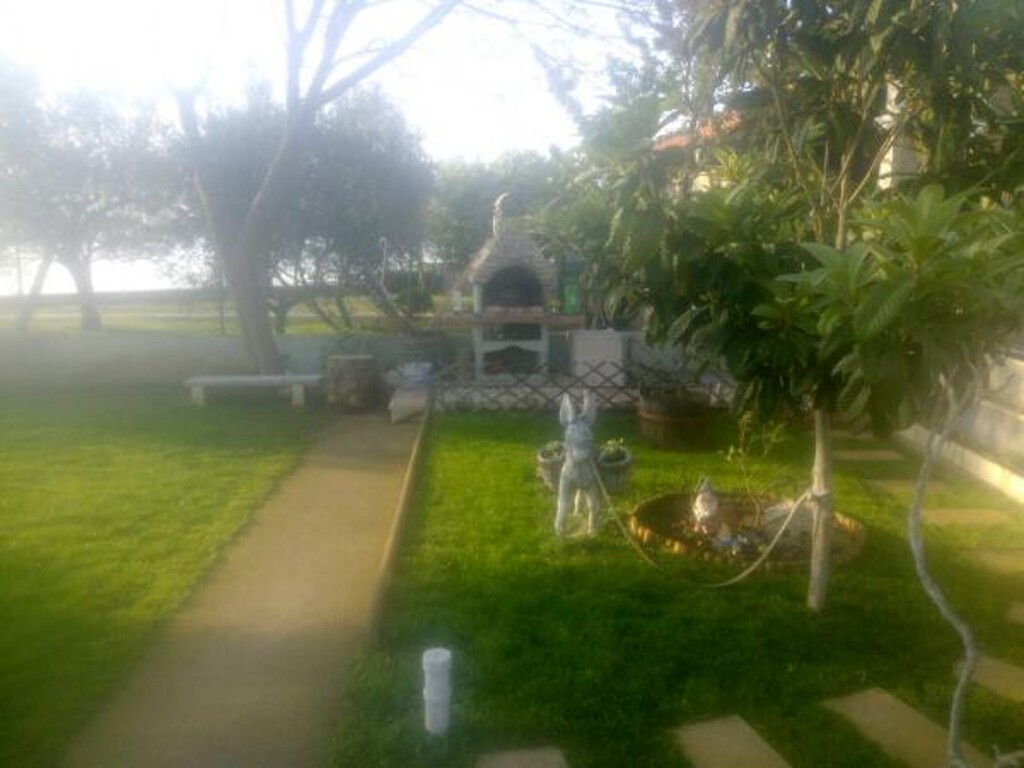 Image 13