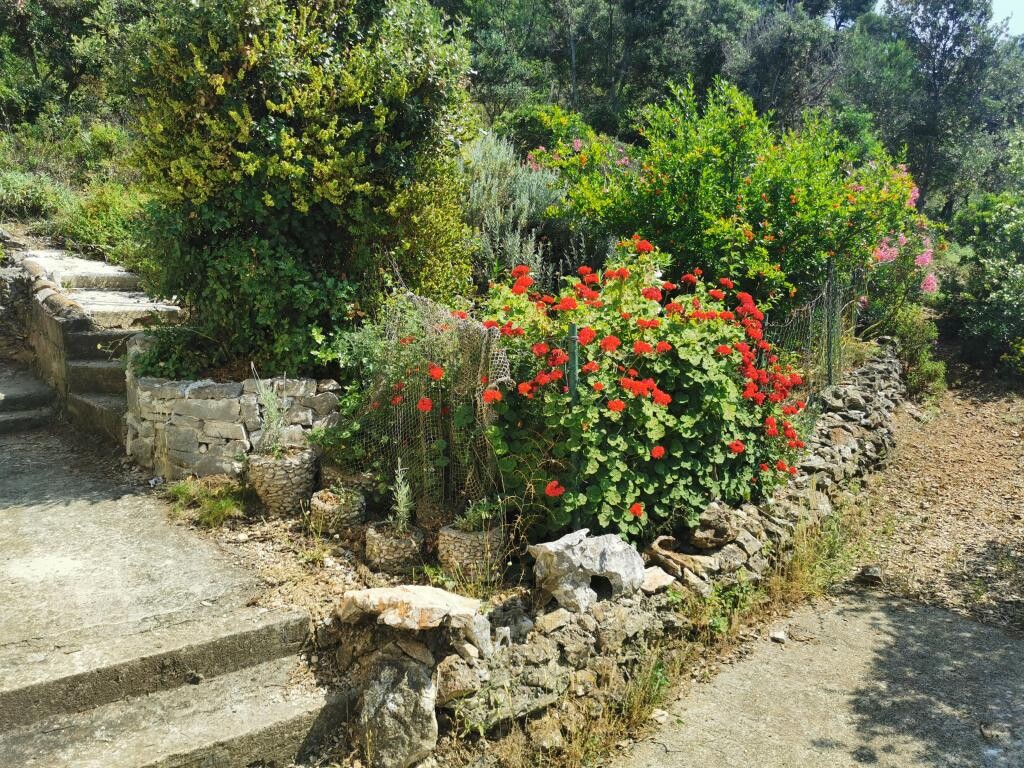 Image 3823646 - 31