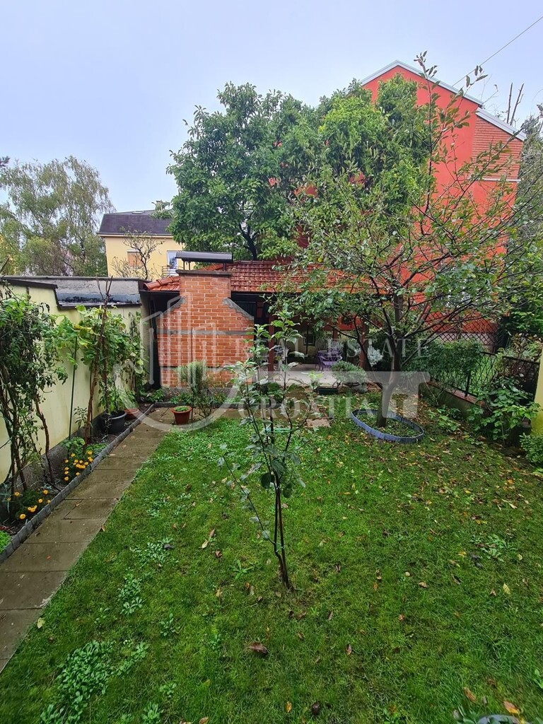 Image 20