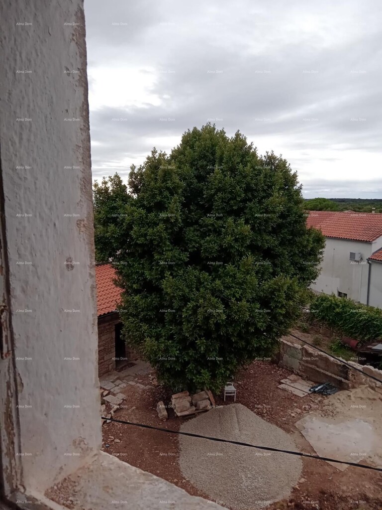 Image 12