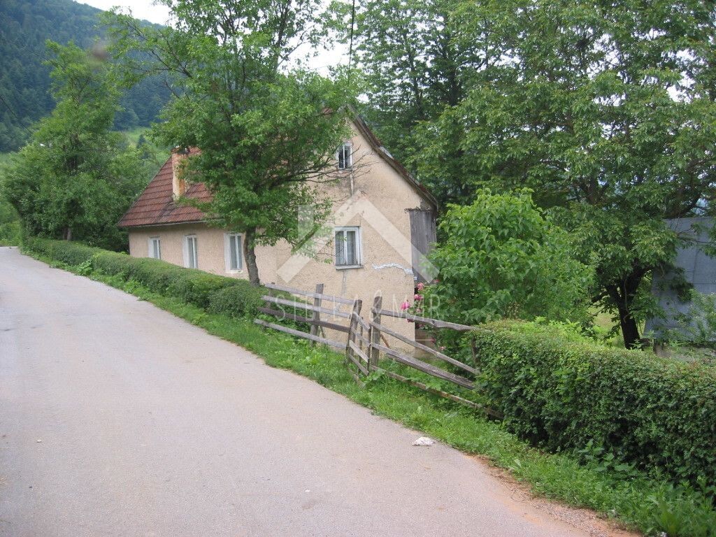 Image 5195037 - 1