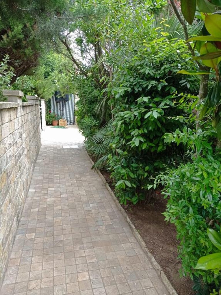 Image 3838782 - 14