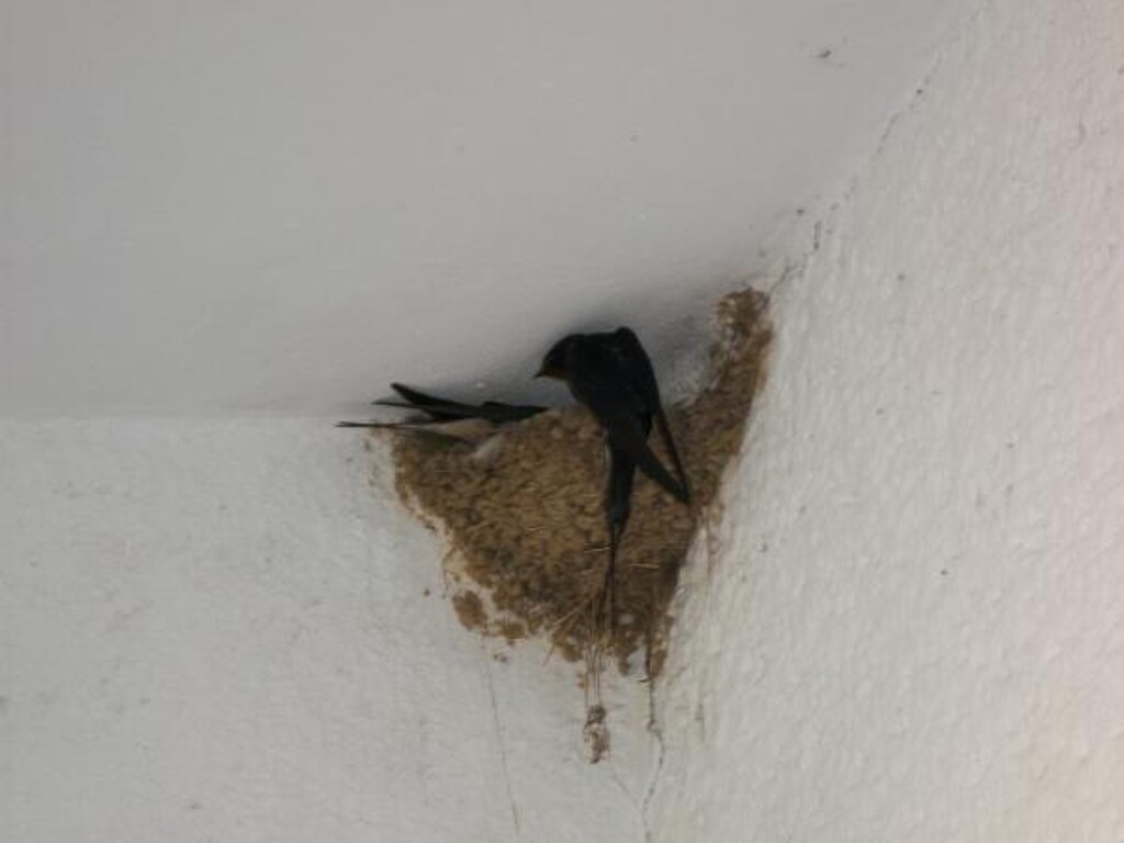 Image 3838913 - 10