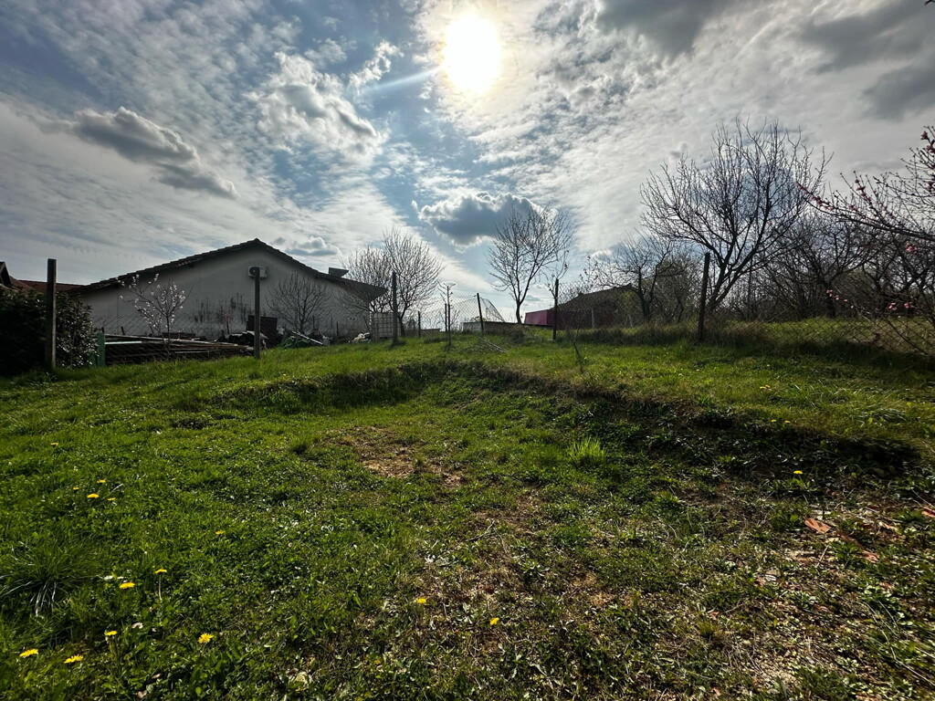 Image 10