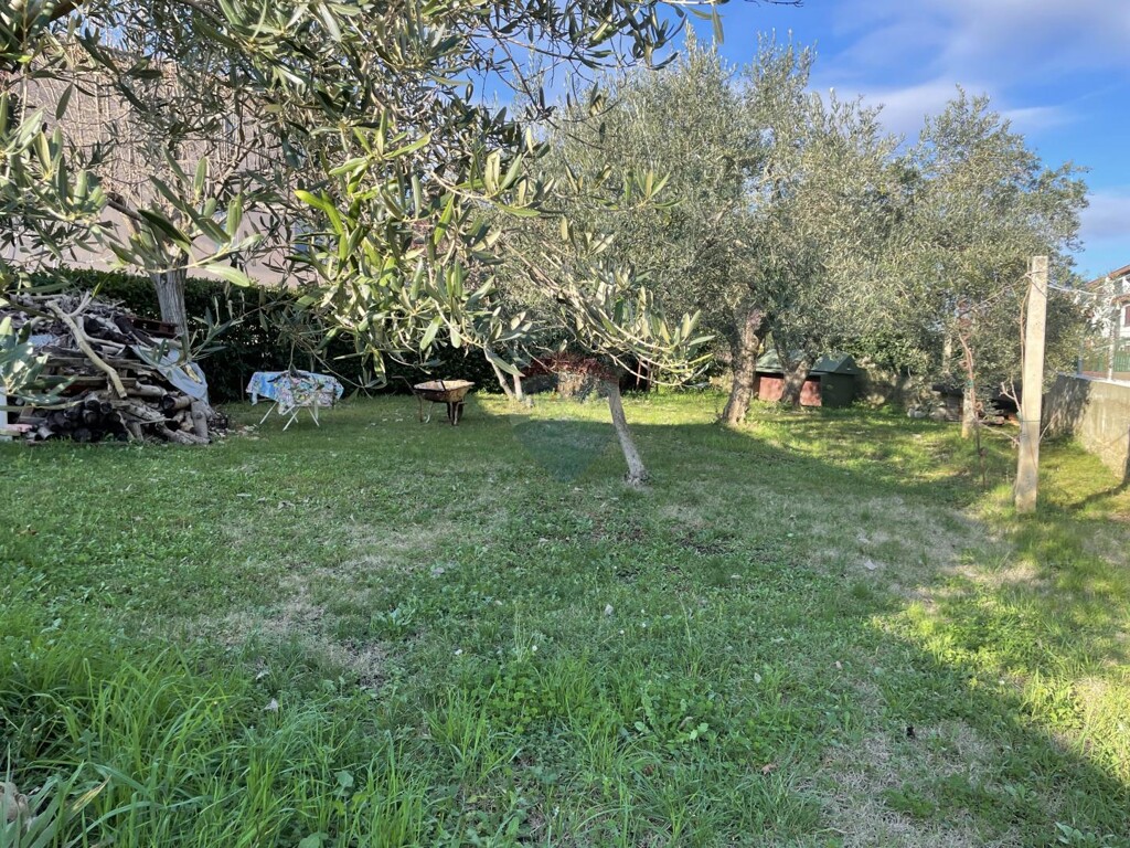 Image 23