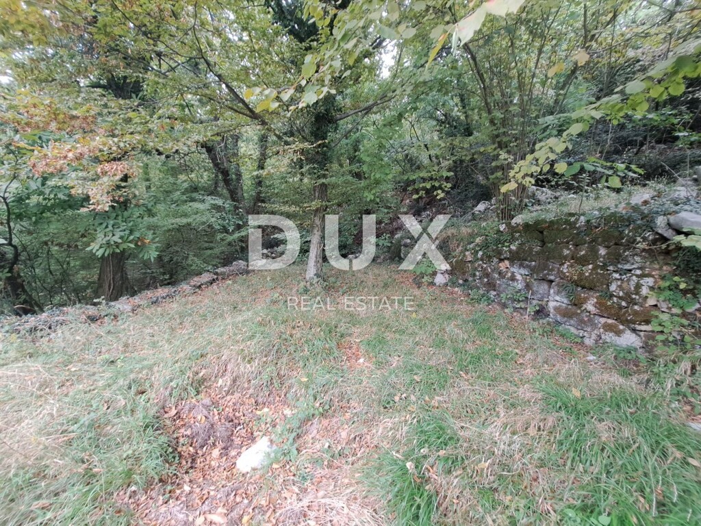 Image 23