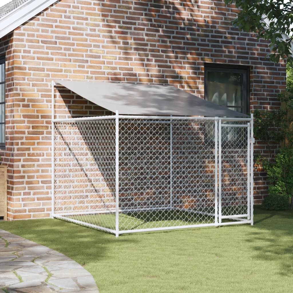 Image 2